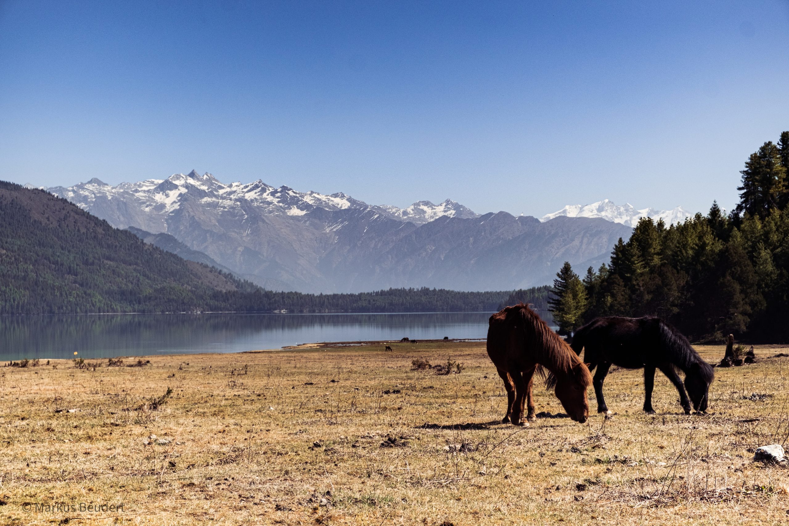 Jumla- Simikot Trekking -12 Days